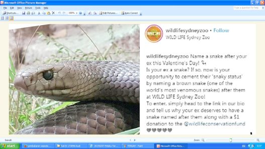 LOMBA: Kebun binatang Wild Life Sydney mengadakan lomba bagi mereka yang putus cinta. Menamai mantan dengan nama binatang melata