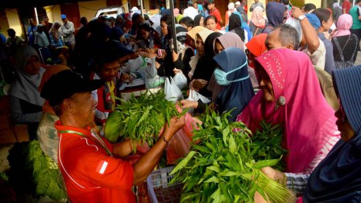 Lapak Petani