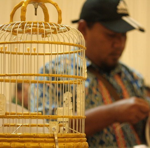 Sangkar Burung Paralon