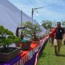 Bupati Cilacap Tatto Suwarto Pamuji melihat langsung bonsai yang dipajang setelah lomba.