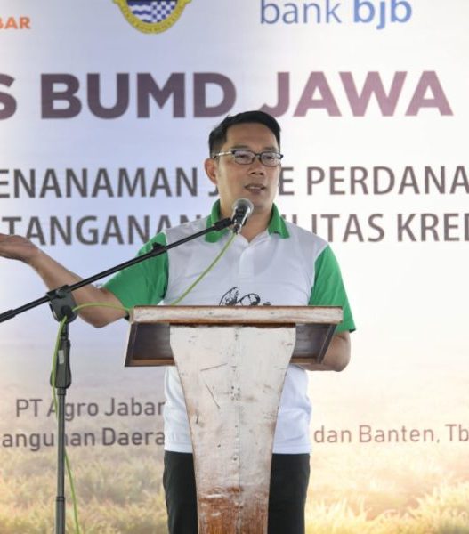 Gubernur Jawa Barat (Jabar) Ridwan Kamil saat menghadiri tanam perdana komoditas jahe di Desa Manyingsal, Kecamatan Cipunagara, Kabupaten Subang, Rabu (19/2/20). (Foto: Rizal/Humas Jabar