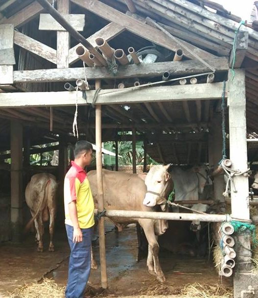 1.743 juru sembelih ikuti sertifikasi halal
