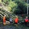 195 bencana terjadi dalam 5 bulan
