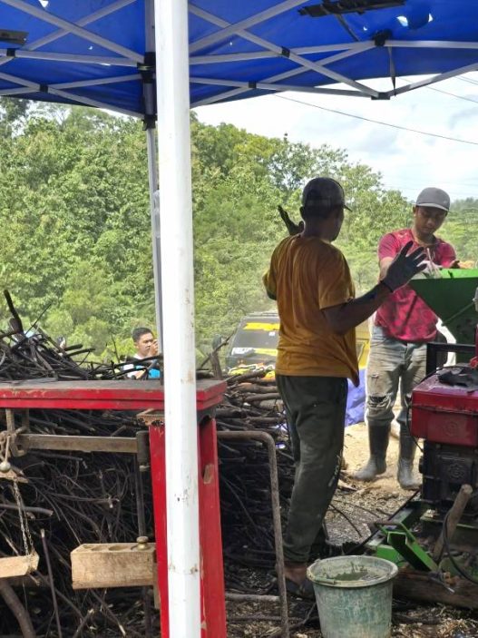 216 ribu pohon untuk green economic