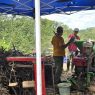 216 ribu pohon untuk green economic