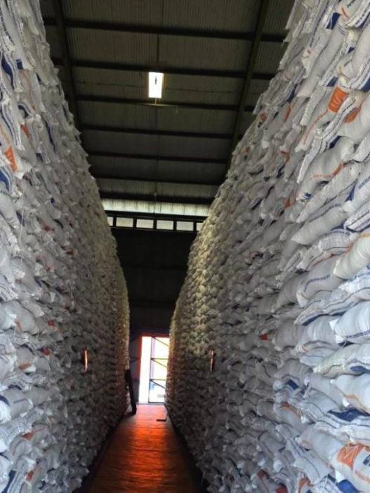 24 ribu ton beras diekspor ke malaysia