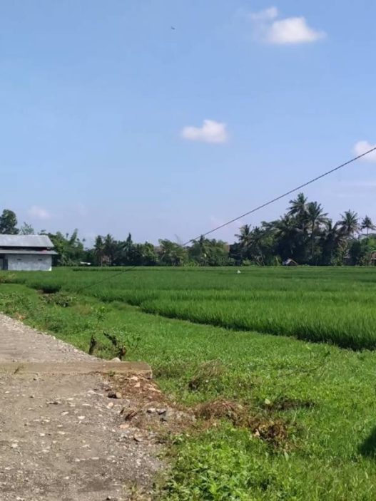 30 dumptruk sampah menumpuk
