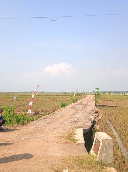 Area persawahan yang biasanya terdampak kemarau di sejumlah wilayah kecamatan