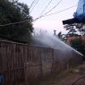 Empat orang disengat tawon liar
