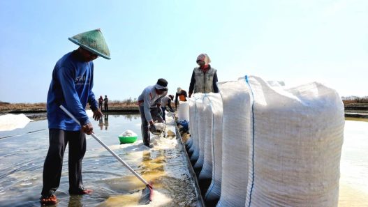 Indonesia kekurangan pasokan garam