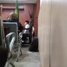 Kades suro bantah paksa tanda tangan