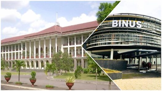 Kampus negeri vs swasta mana yang lebih diminati di dunia kerja