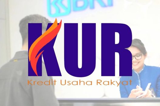 Kur bri 2025