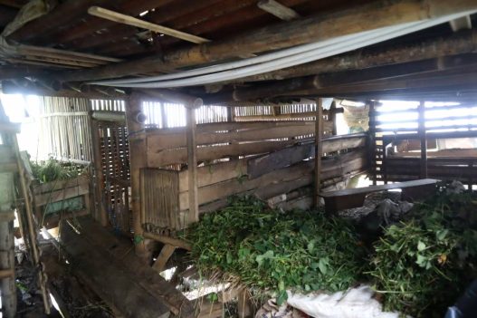 Lima kambing warga kemutug kidul raib