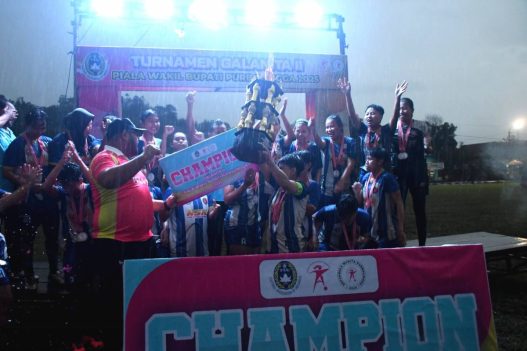 Nsr banjarnegara juara liga sepak bola wanita