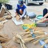 Padi persilangan diminati petani