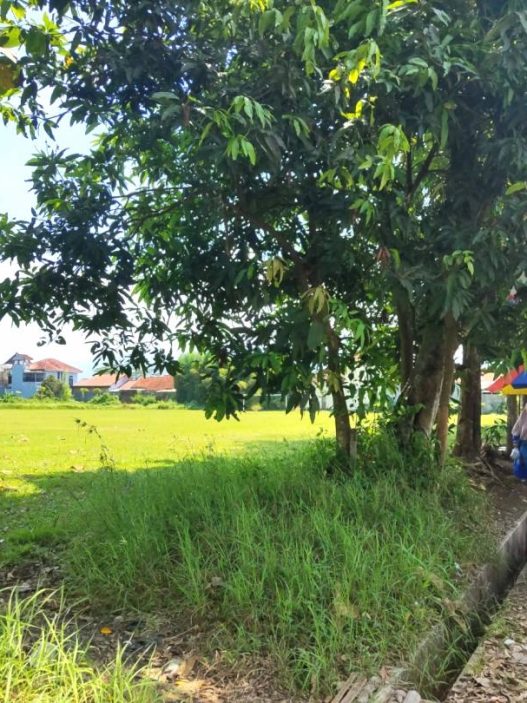 Pembangunan rth pasir kidul purwokerto dimulai tahun ini, fokus jogging track di tahap awal