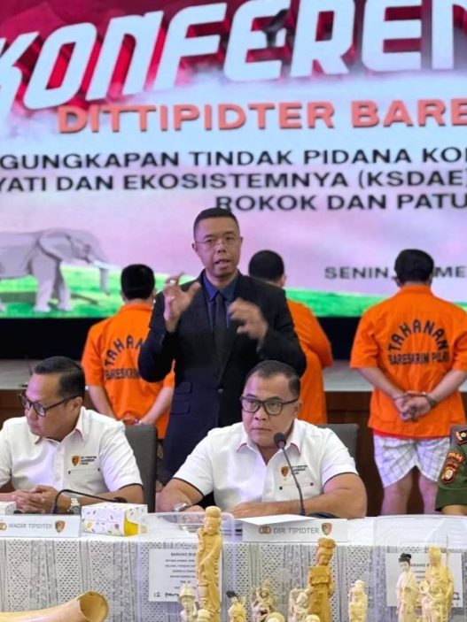 Perdagangan gading gajah terungkap