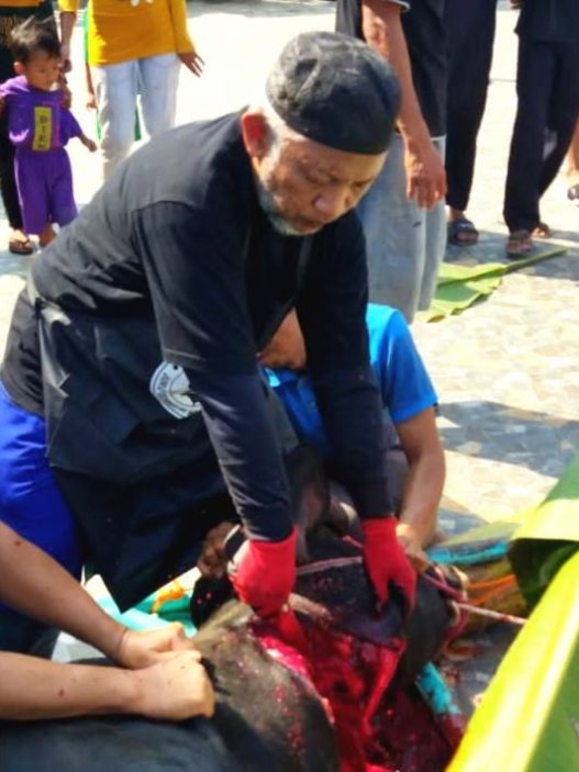 Permintaan juru sembelih halal proses penyembelihan perlu persiapan matang