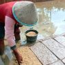 Petani kesulitan persemaian benih
