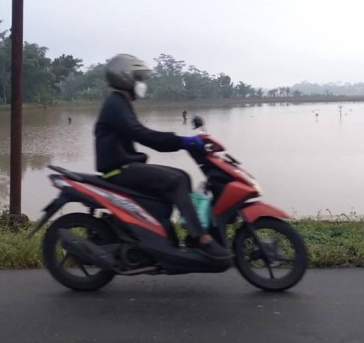 Ratusan hektare lahan sawah purbalingga terendam banjir
