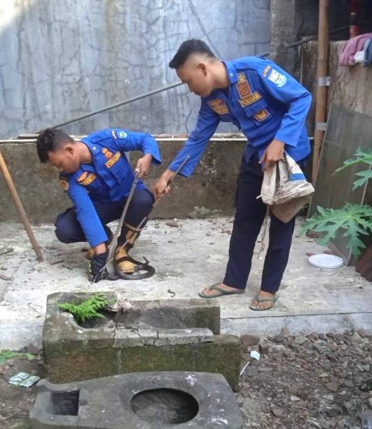 Tugas damkar kini didominasi animal rescue