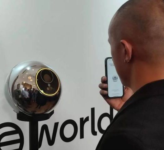 Worldcoin dan worldid dibekukan