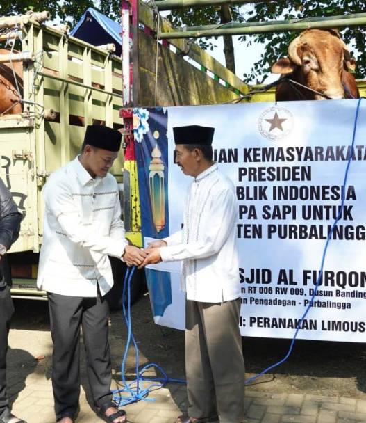 1.446 ekor hewan kurban didistribusikan