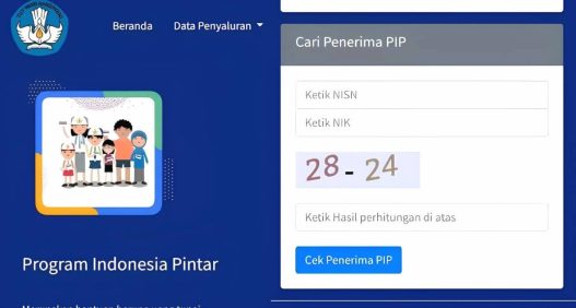 20241105 pip 700x375 (1)