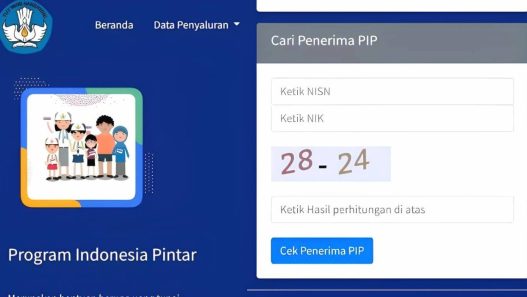 20241105 pip 700x375 (1)