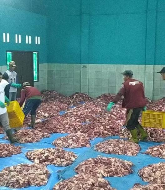 8.000 bungkus daging kurban dibagikan