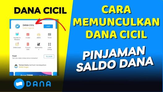 Aktivasi dana cicil