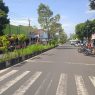 Alang alang liar dikeluhkan warga
