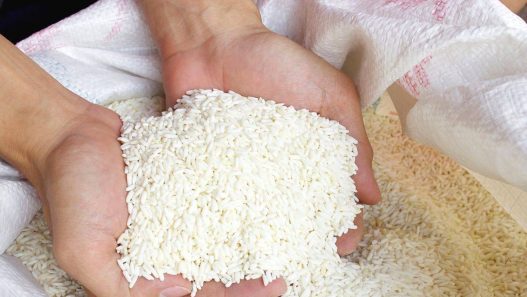 Bansos beras 10 kg