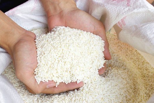 Bansos beras 10 kg