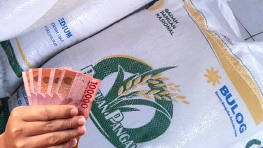 Bansos rp400 ribu dan beras 20 kg siap disalurkan mulai bulan juni 2025