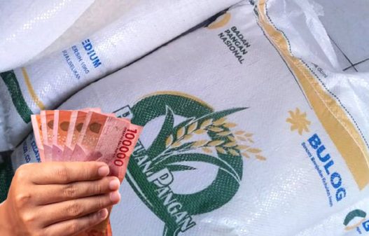 Bansos rp400 ribu dan beras 20 kg siap disalurkan mulai bulan juni 2025