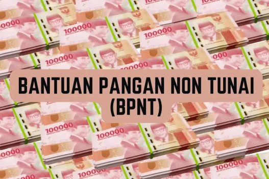 Bpnt 2025