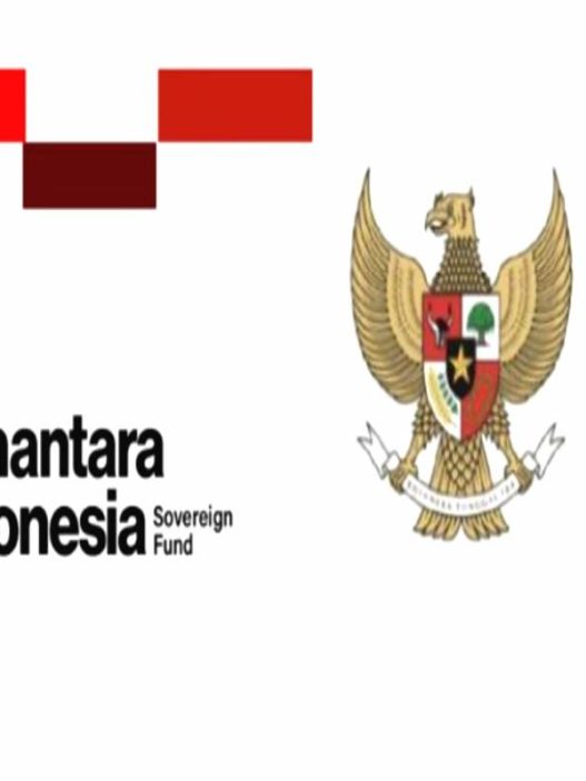 Danantara kelola dividen bank bumn