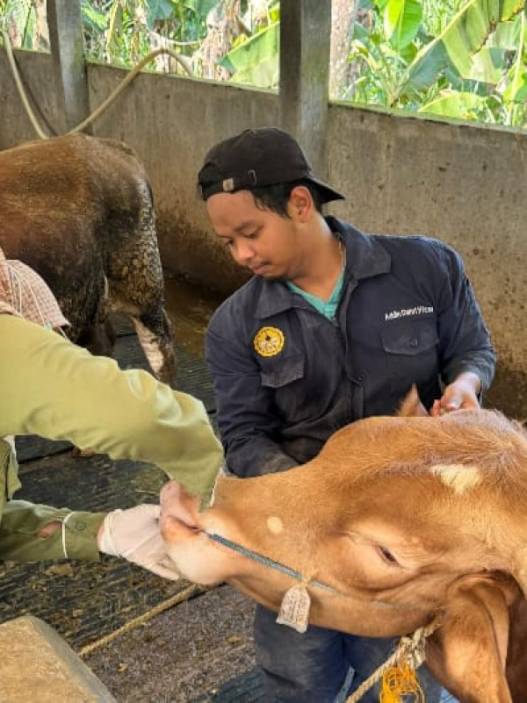 Distapang perketat pemeriksaan hewan kurban