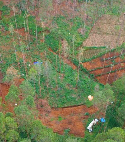 Ekosistem rogojembangan terancam
