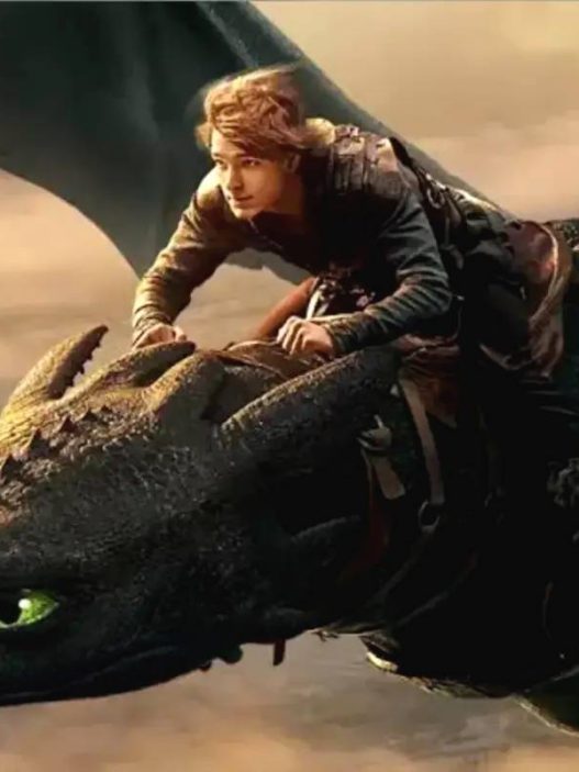 How to train your dragon