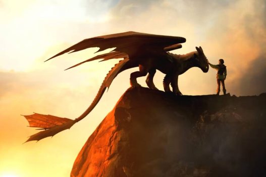 How to train your dragon