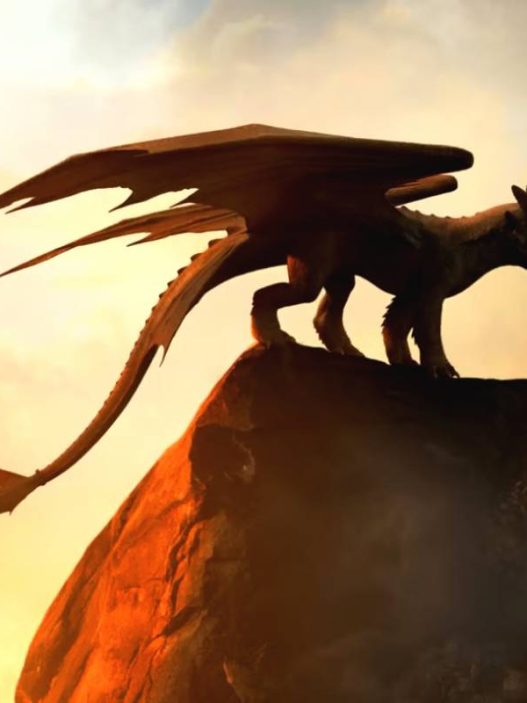 How to train your dragon
