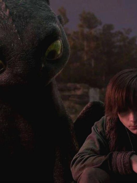 How to train your dragon live action