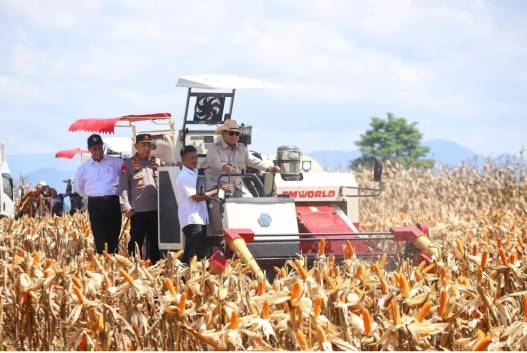 Indonesia siap jadi ekportir jagung