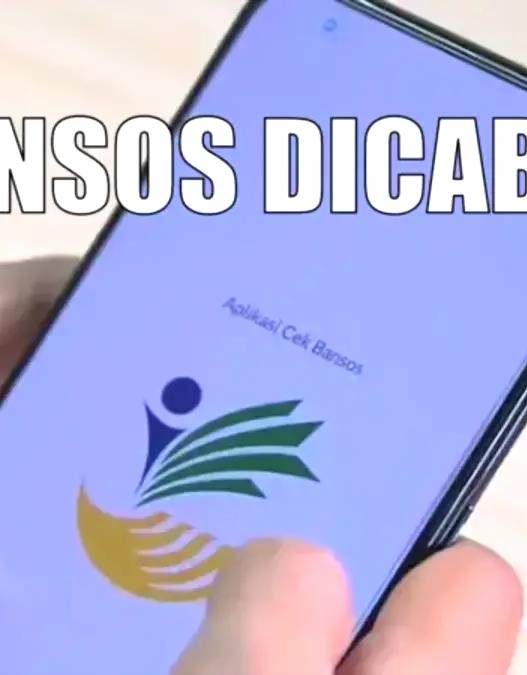 Ini alasan dan solusi agar saat bansos dicabut mendadak