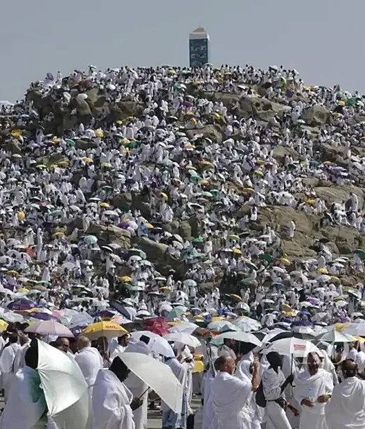 Jemaah haji indonesia yang wafat capai 412 orang, arab saudi ingatkan pentingnya istithaah kesehatan