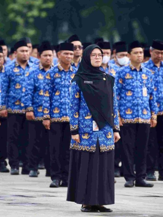 Kebijakan wfa untuk pns diresmikan