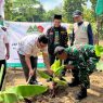 Pac gp ansor pejagoan tanam 10 ribu pisang cavendish